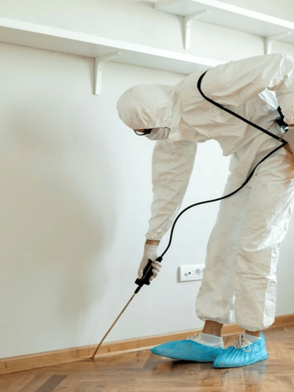 Disinfection and Sanitization Services