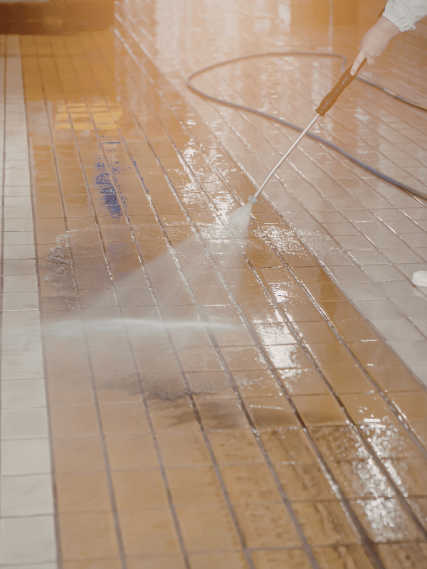 Commercial Carpet and Floor Care